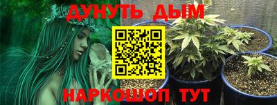 сатива Кунгур