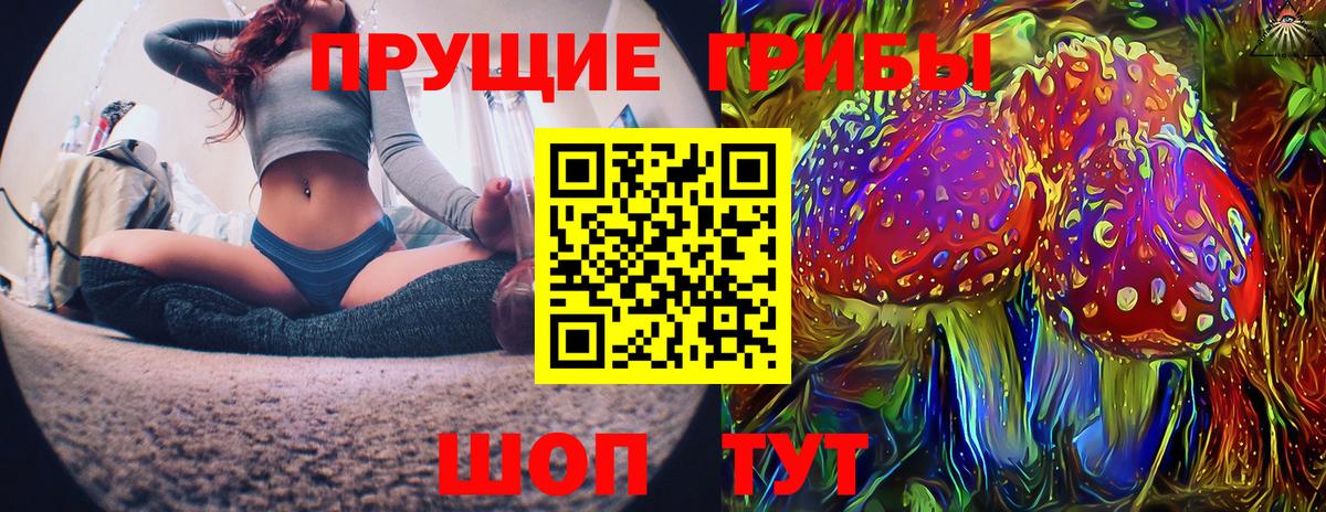 Галлюциногенные грибы Magic Shrooms  Вход с VPN  Галлюциногенные грибы GOLDEN TEACHER  Фрязино 
